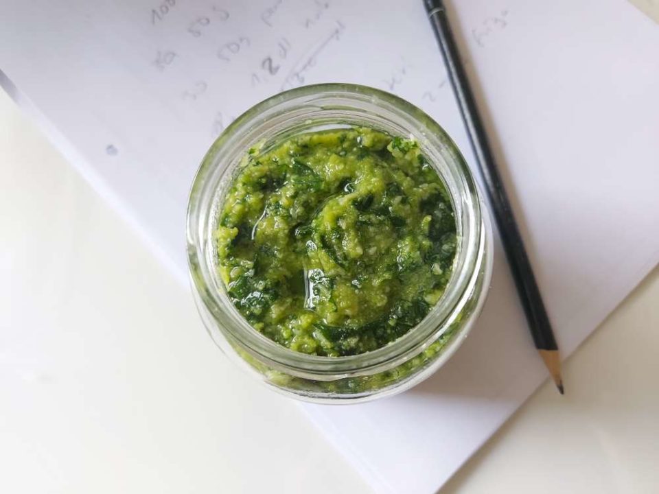 pesto à l’ail des ours