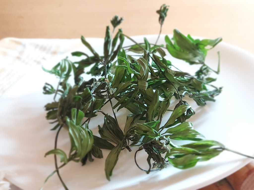 aspérule odorante séchée